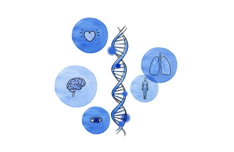 Test Genético Preimplantacional