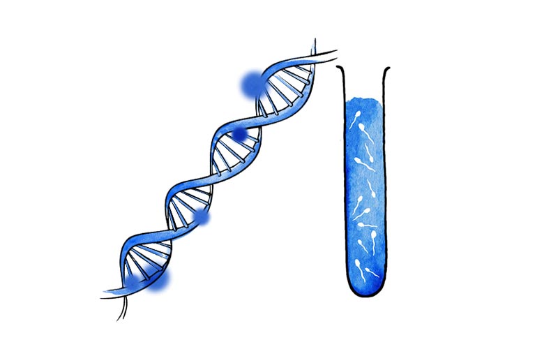 Fragmentación DNA espermático